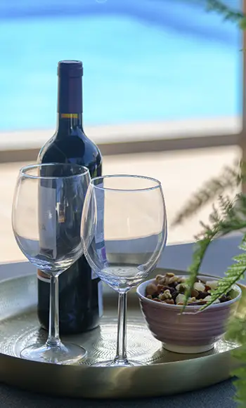 Wine on the terrace of Villa Aguamarina 25 Wine and nuts on the terrace of Hipoclub Villa Aguamarina 25